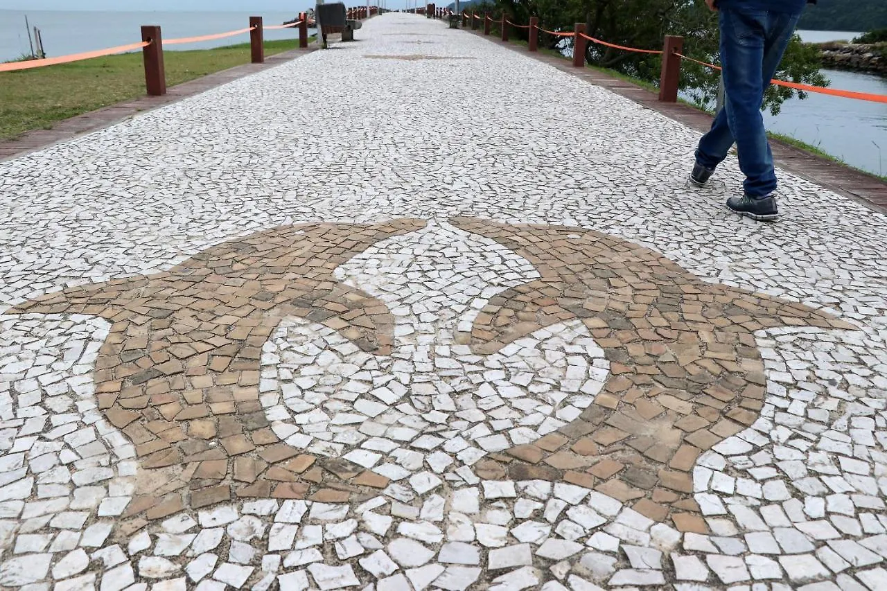 Curta Praia De Armacao - Casa Girassol Penha  Prázdninový dům Penha (Santa Catarina)